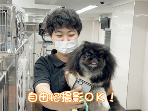 ドッグパークルームの生徒とモデル犬♪